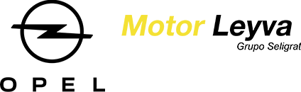 Motor Leyva